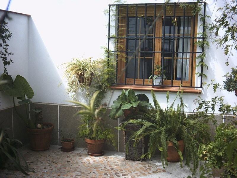 Talaván Casa Rural La Brena מראה חיצוני תמונה