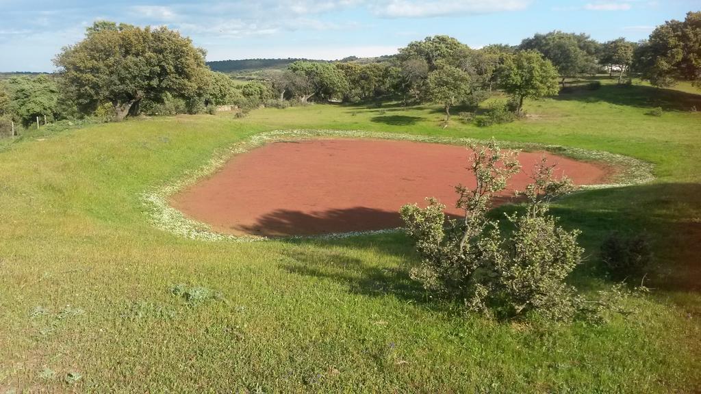 Talaván Casa Rural La Brena מראה חיצוני תמונה
